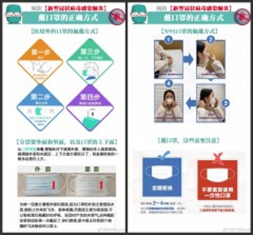 第2_conew1.jpg